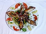 GRILLED SQUIDS