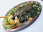 GRILLED MACKEREL